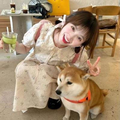 试播集